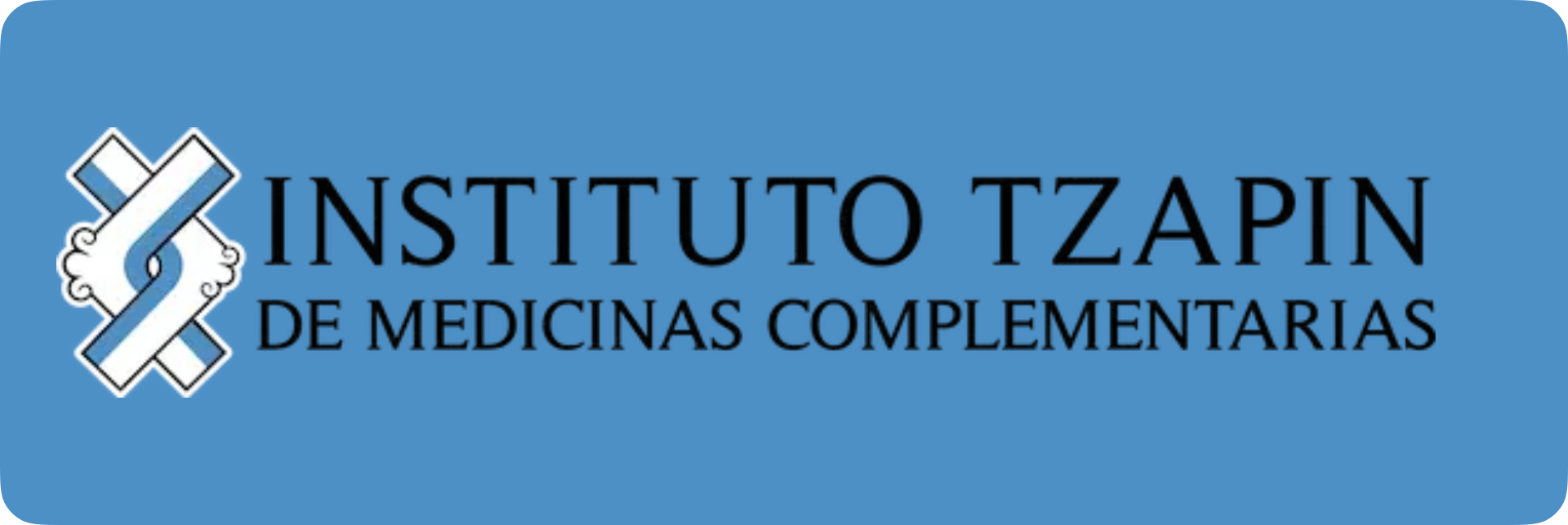 Instituto Tzapin